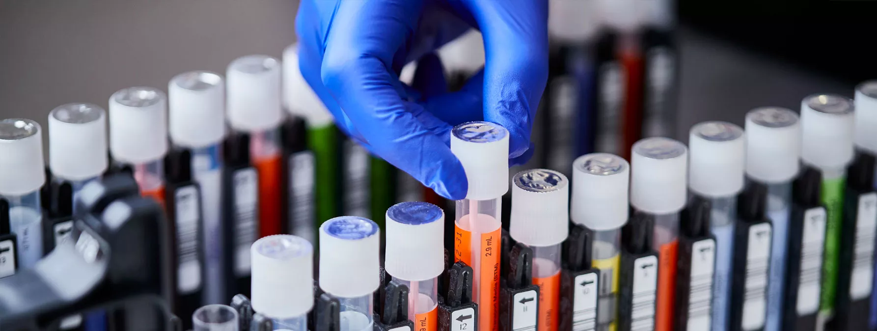 コレクションデバイスの画像