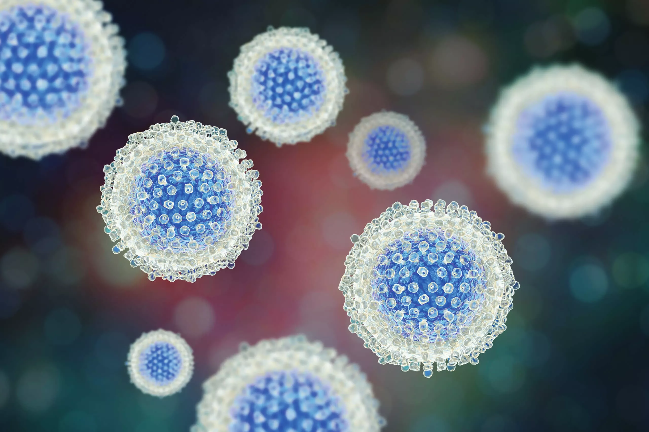 B 型肝炎ウイルス (HBV) の画像