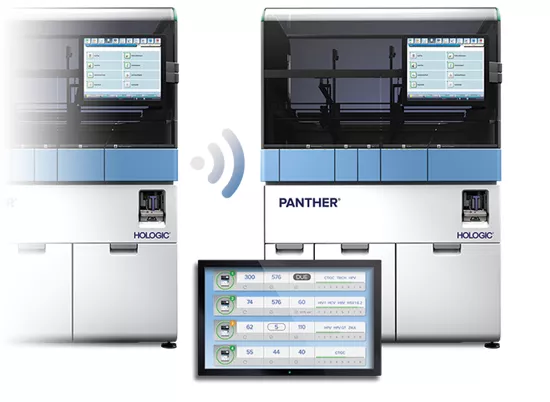 白い背景にパンサー Link