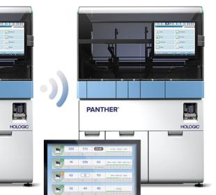 白い背景にホロジックパンサー Link の画像